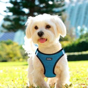 Matilor Step-in Dog Harness Breathable Mesh Puppy Small Dog Vest Harnesses